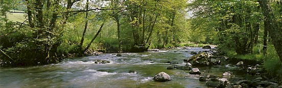 Ruisseau  truites
